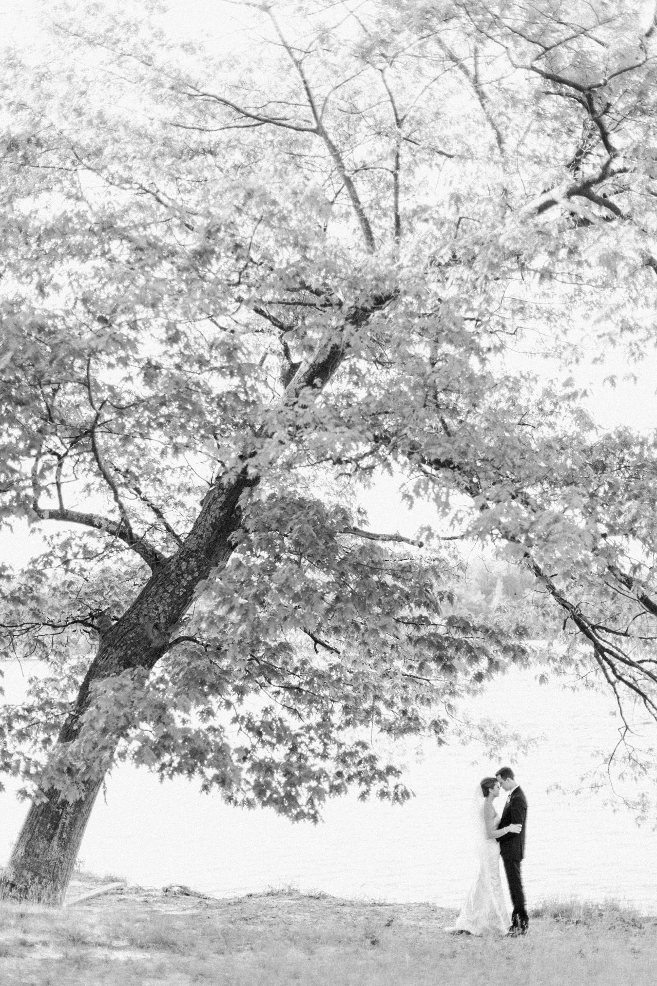 Bride & Groom Portrait | Arcadia, Michigan | The Weber Photographers