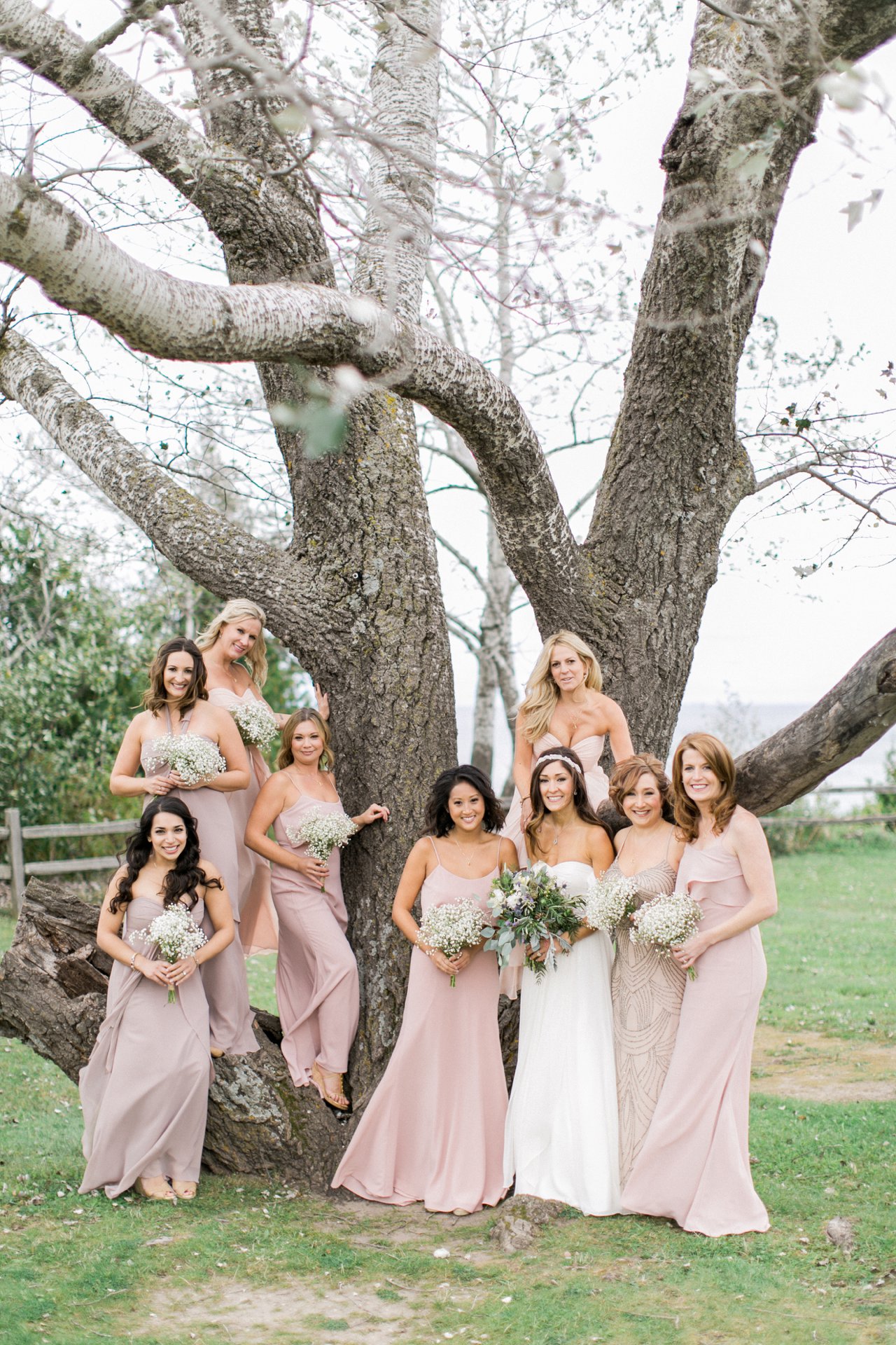 Blush Bridesmaids Dresses | Jenny Yoo | The Weber Photographers | Cory Weber