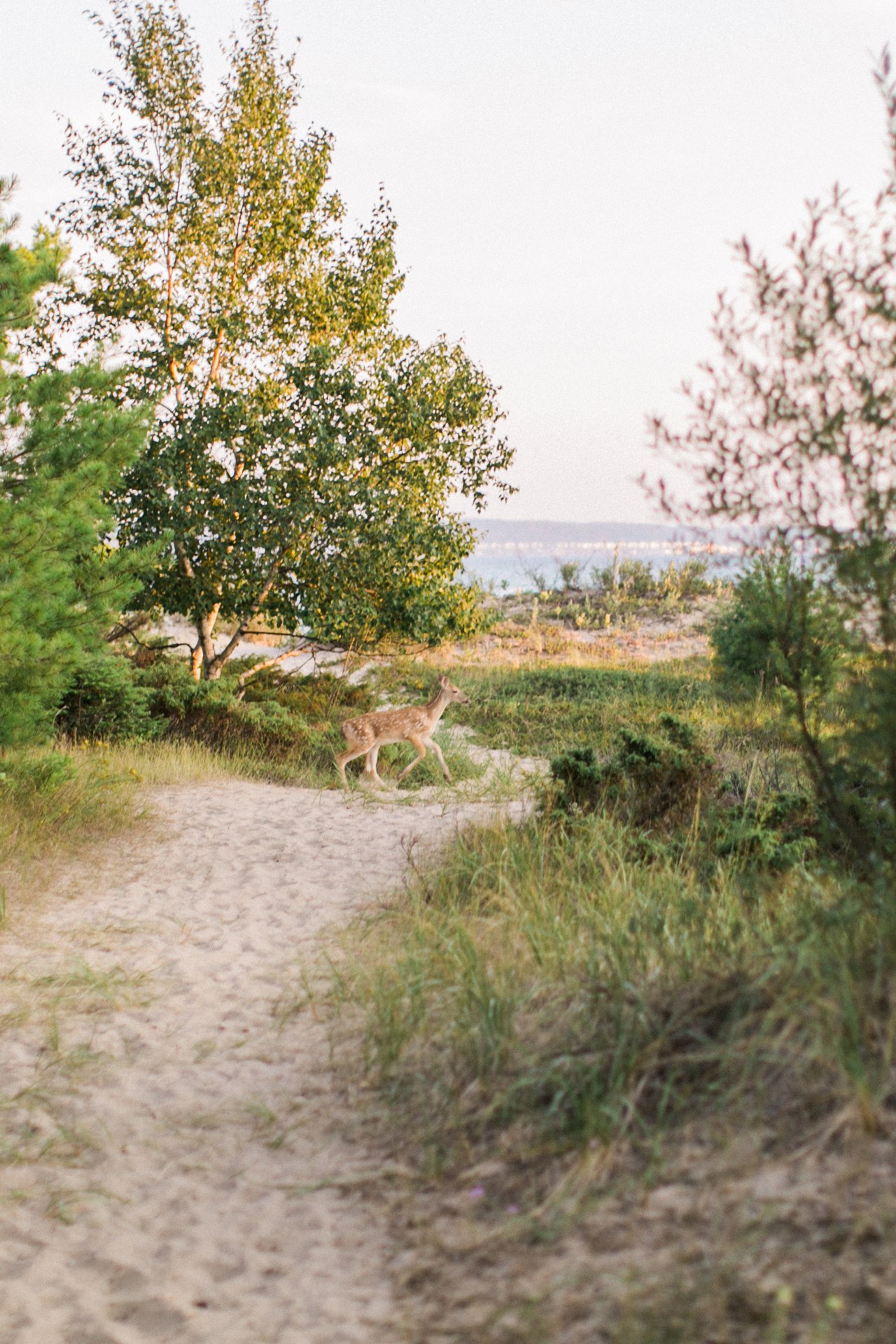 Harbor Springs Michigan | The Weber Photographers