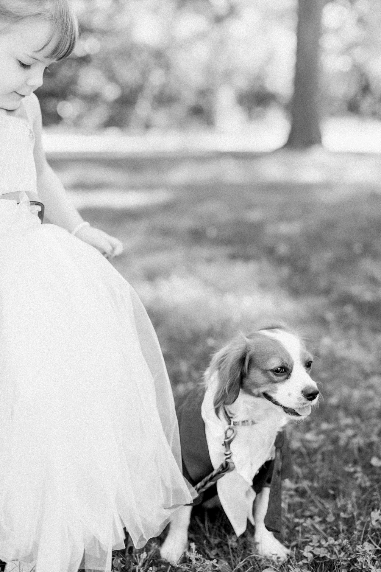 Traverse City Michigan Wedding Photographer | The Weber Photographers | Cory Weber