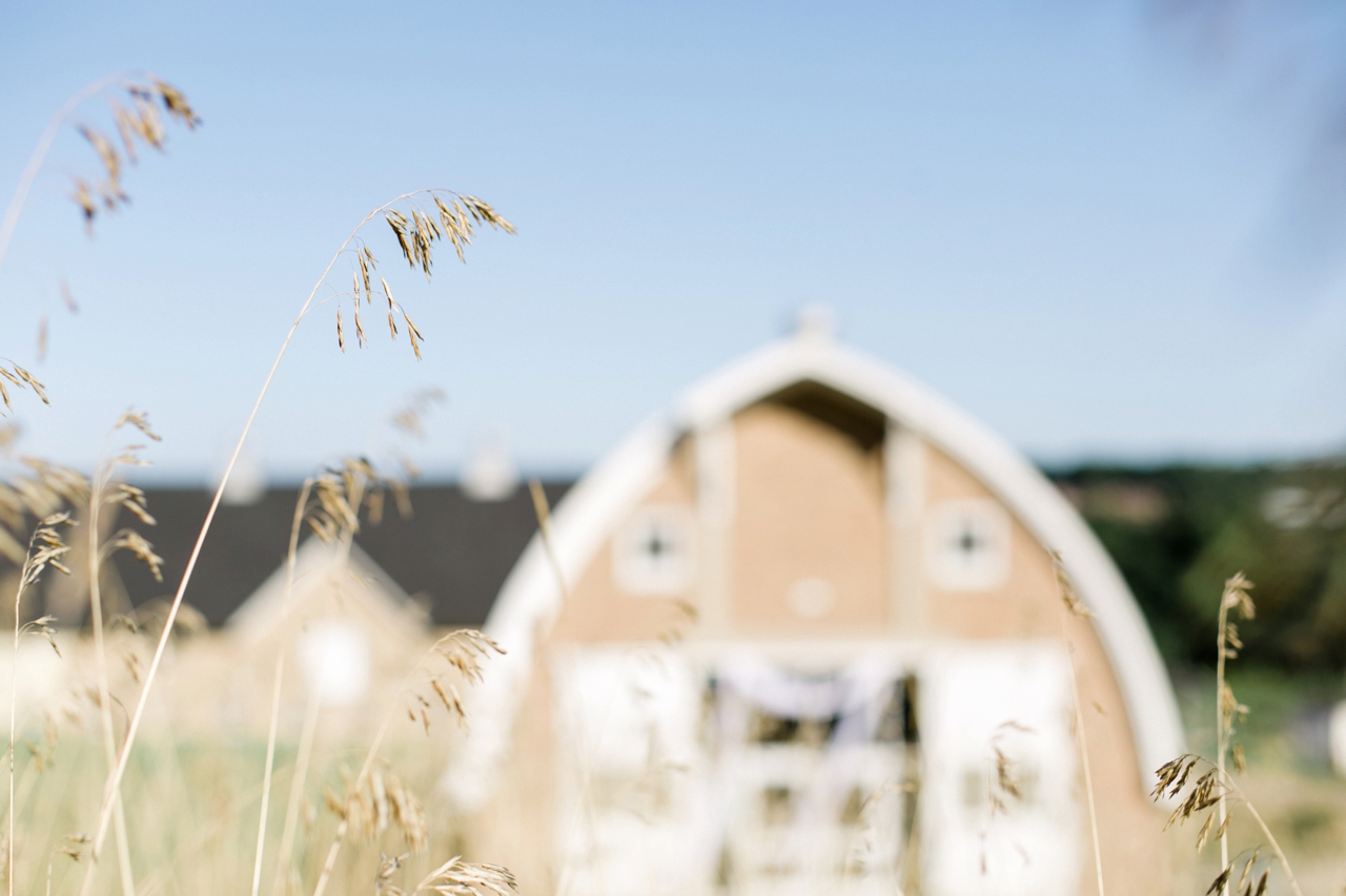 Historic Barns | Traverse City Michigan Wedding Photographer | The Weber Photographers | Cory Weber