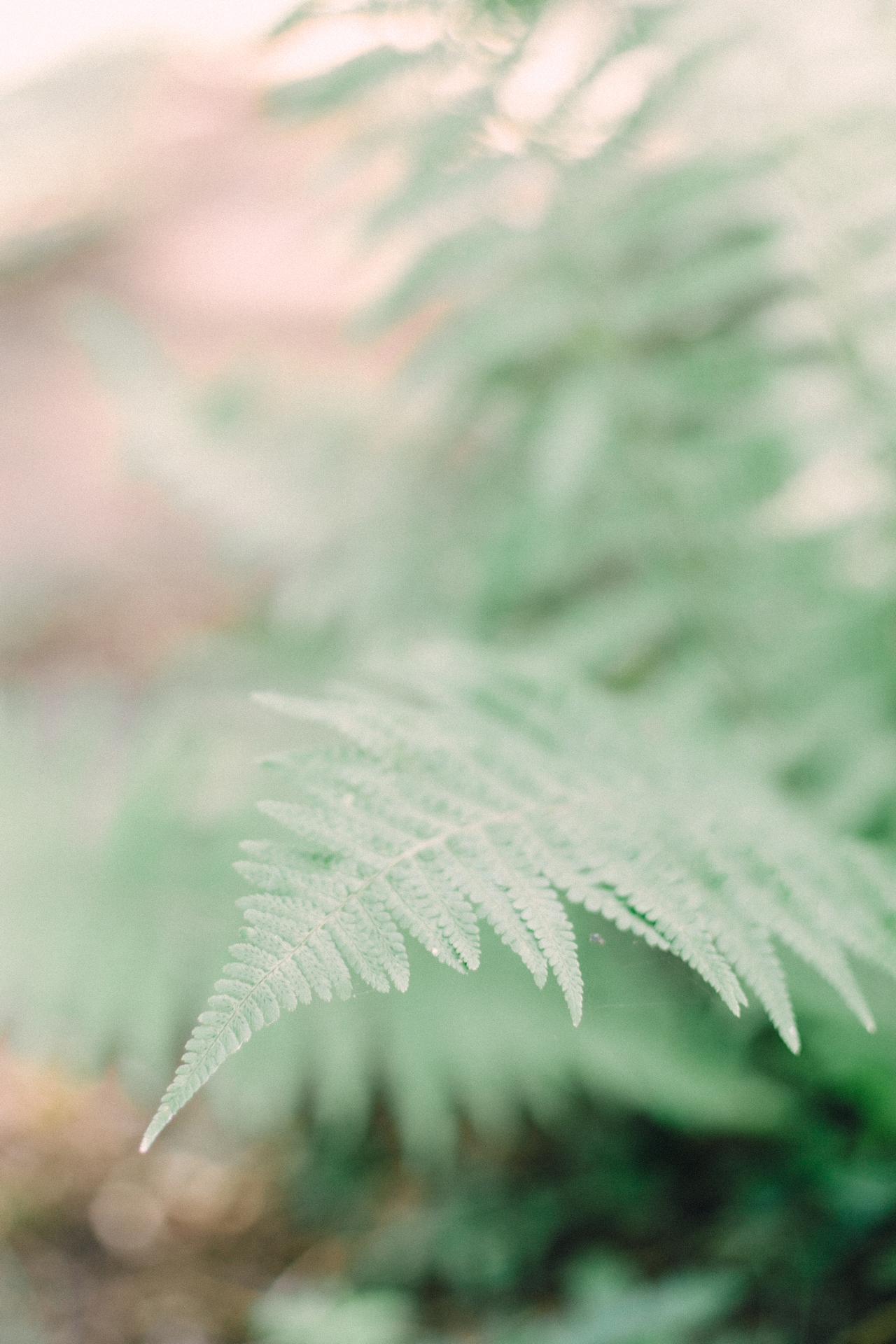 Petoskey Michigan Wedding Photography | The Weber Photographers | Associate Photographer Chelsey