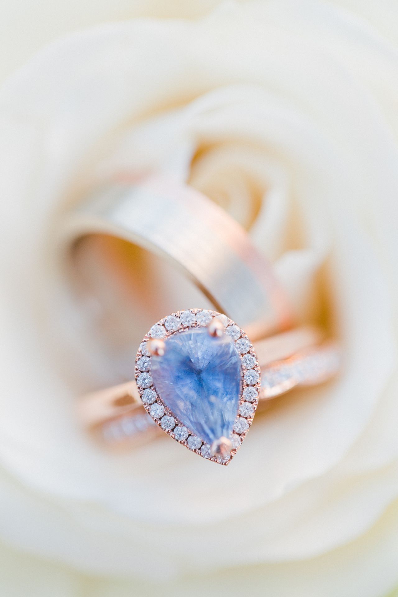 Springtime Wedding | The Weber Photographers