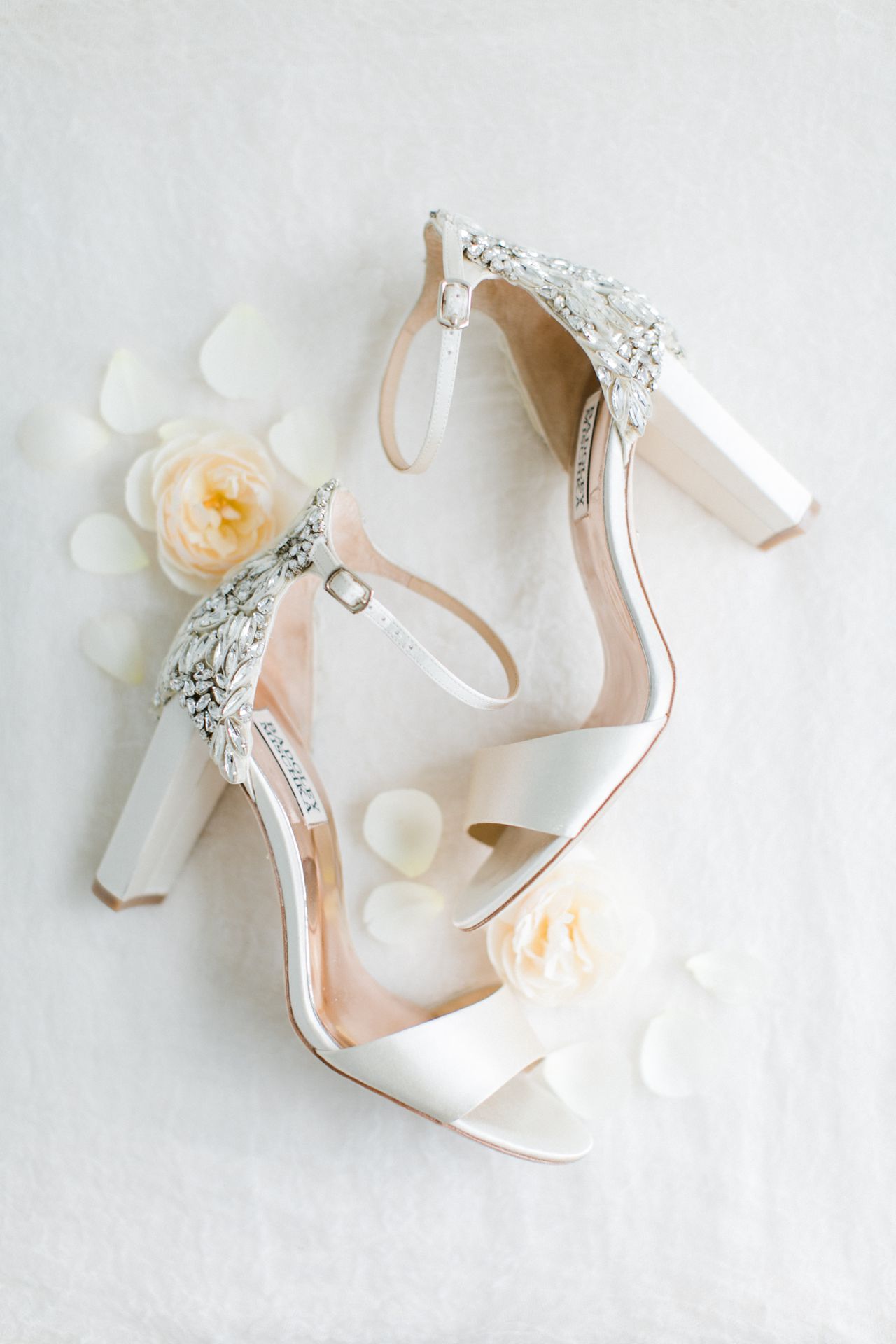 Northern Michigan Wedding Photographer | The Weber Photographers