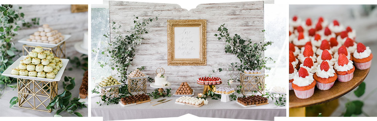 Leelanau County Vineyard Wedding Photographer | The Weber Photographers