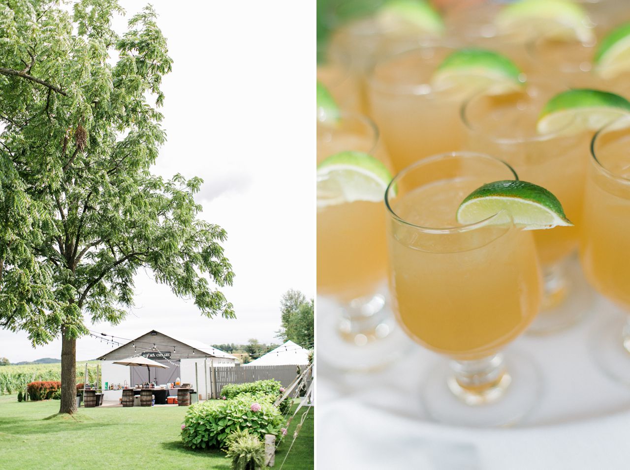 Northern Michigan Wedding Photographer | The Weber Photographers