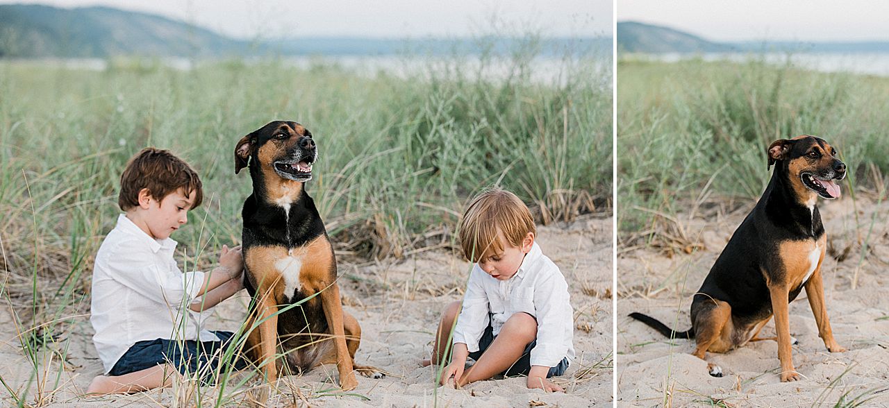 Two young boys and a dog sitting and playing in the sand
