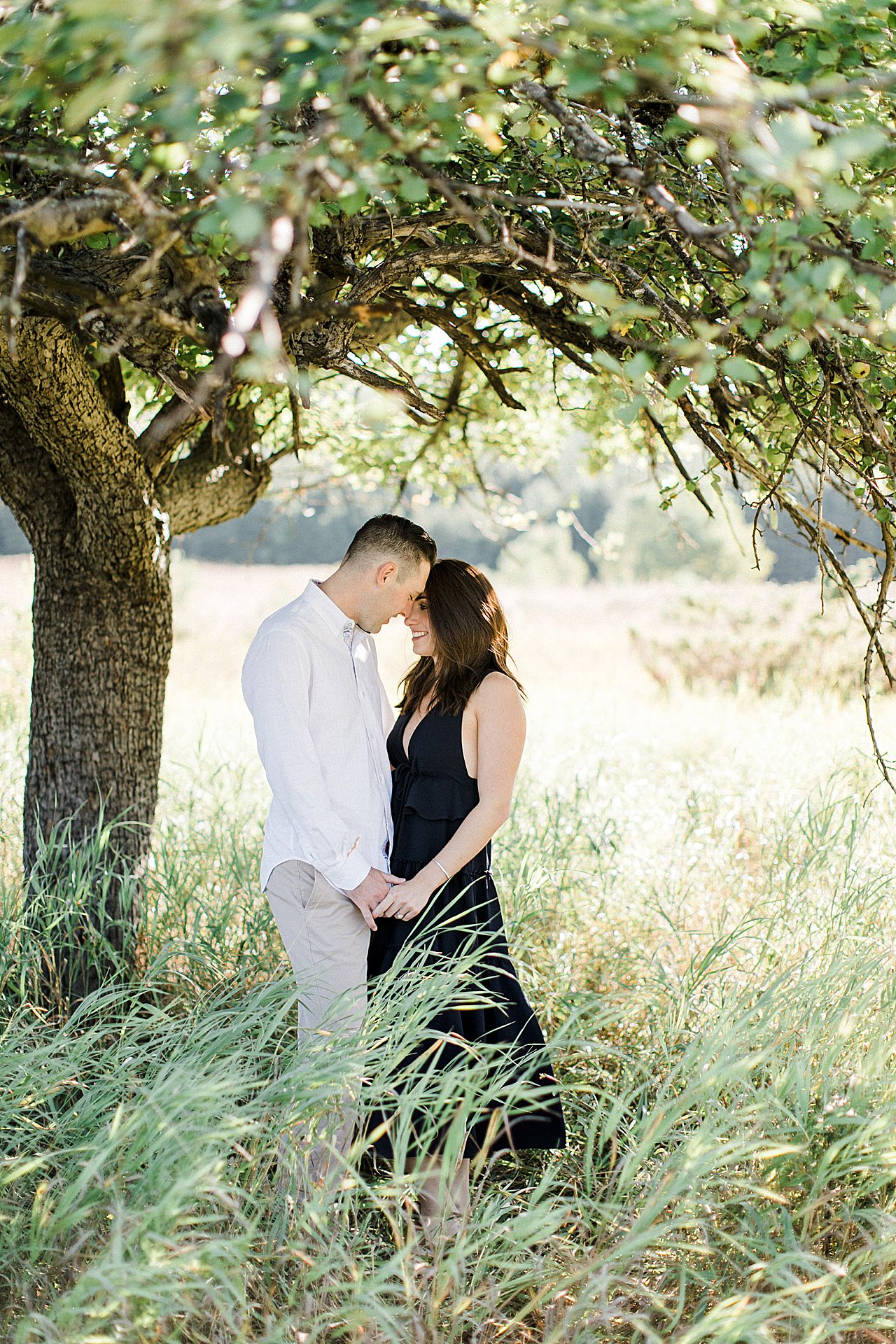 This is a portrait of an engaged couple in a grassy field under a tree on a sunny day in Empire, Michigan