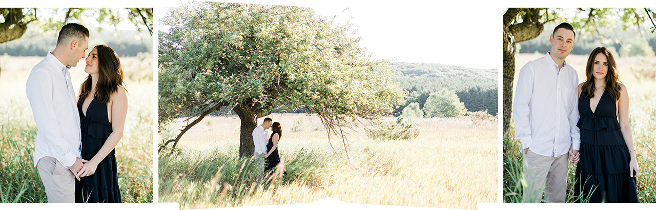 This is a portrait of an engaged couple in a grassy field under a tree on a sunny day in Northern Michigan