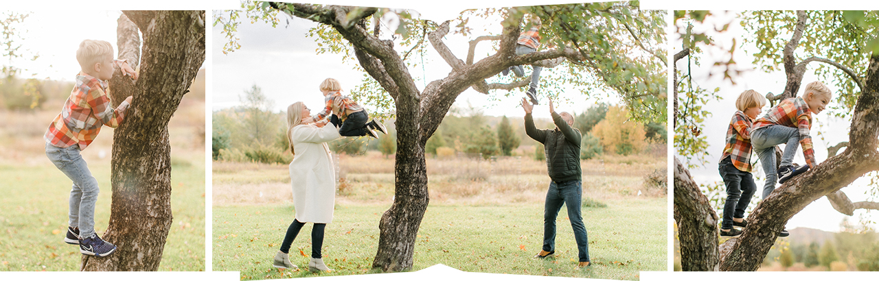 A mother and father playing with their 2 young boys a tree in Petoskey, Michigan