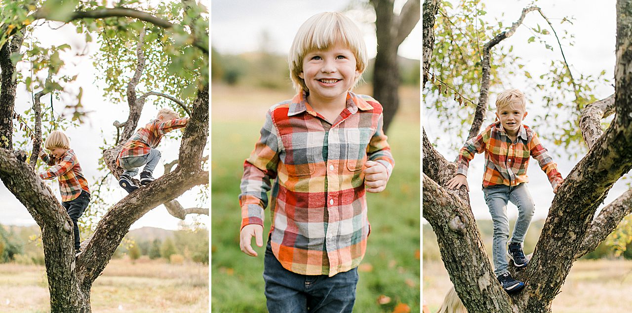 2 young boys playing in a tree in Petoskey, Michigan