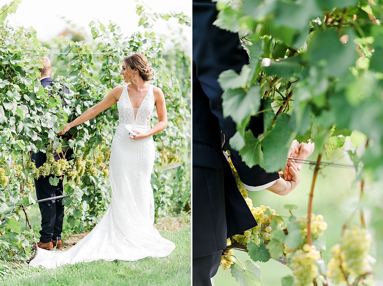 A bride and groom holding hands in a vineyard in Michigan