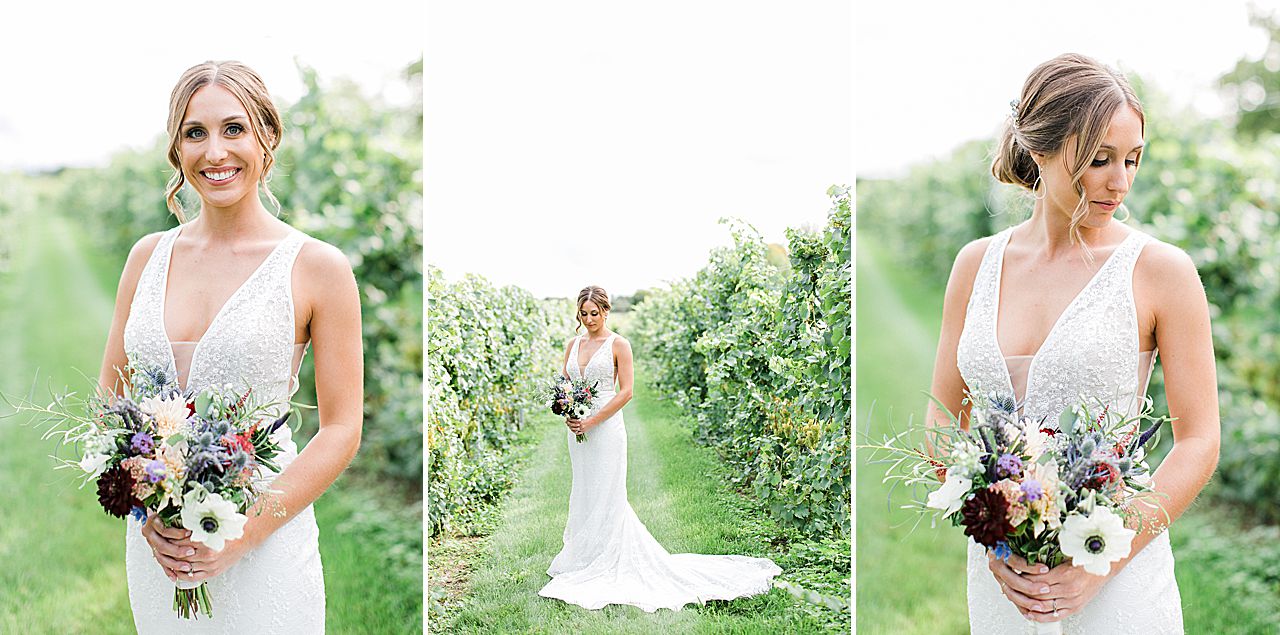 Bridal portraits in a vineyard at Aurora Cellars