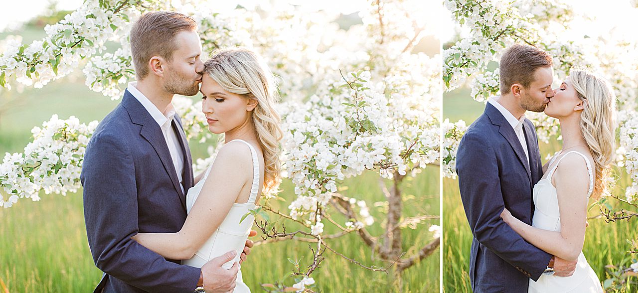 Engagement photos of a couple kissing in a field with a blooming tree in the background on Old Mission Peninsula
