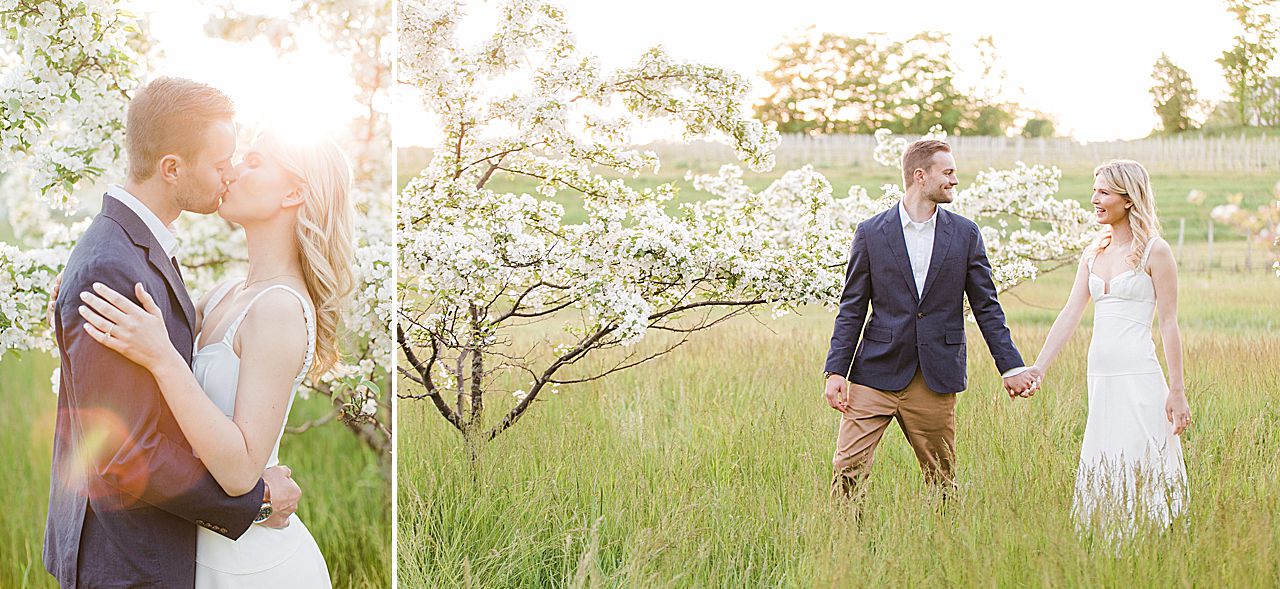 A couple walking through a field of blooming trees in Northern Michigan at sunset in the spring