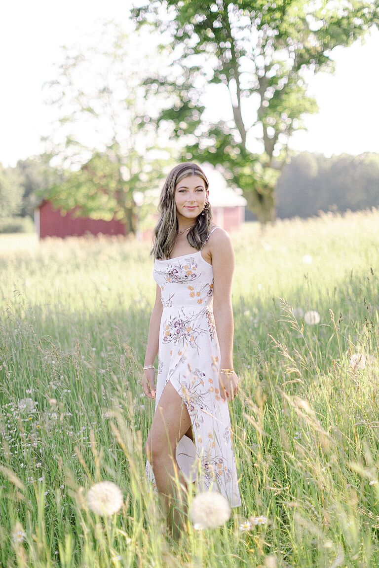 A senior portrait session of a girl in a field with tall grass and a red barn in the background