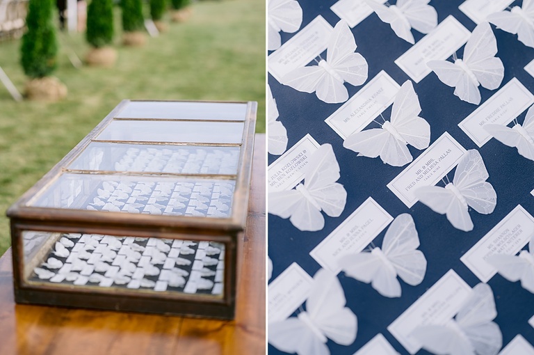 Seating cards in a glass box with paper butterflies