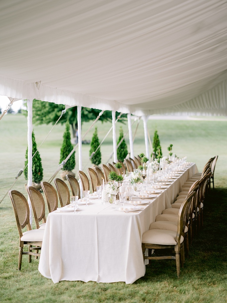 A long reception table with white linen, brown chairs, candles, and green plants