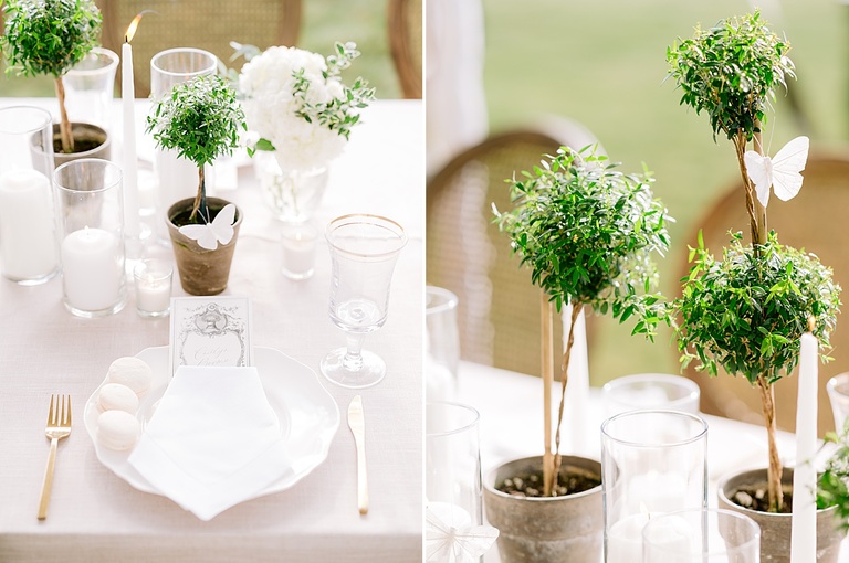White table linen, plates, napkin, candles, and small green shrubs