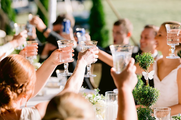 Wedding guests clinking their glasses during toasts