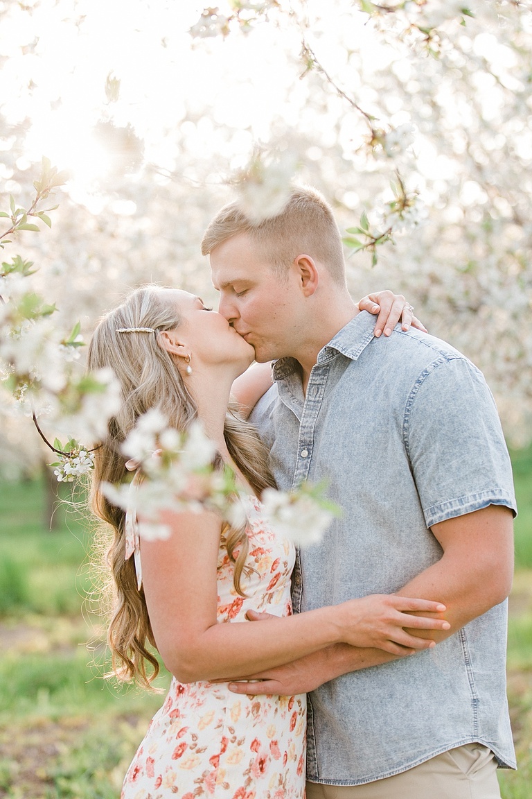 A couple kisses while light streams through cherry blossom branches in Traverse City