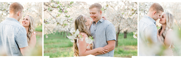 A couple in traverse city michigan hold each other under the branches of cherry trees