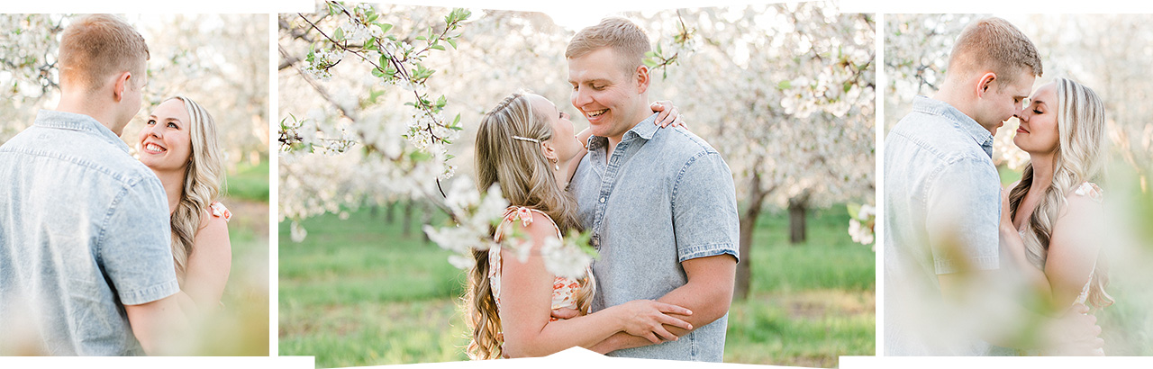 A couple in traverse city michigan hold each other under the branches of cherry trees